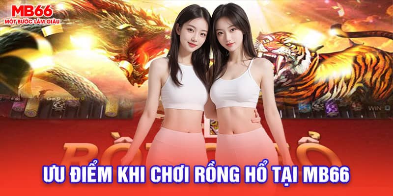 rồng hổ